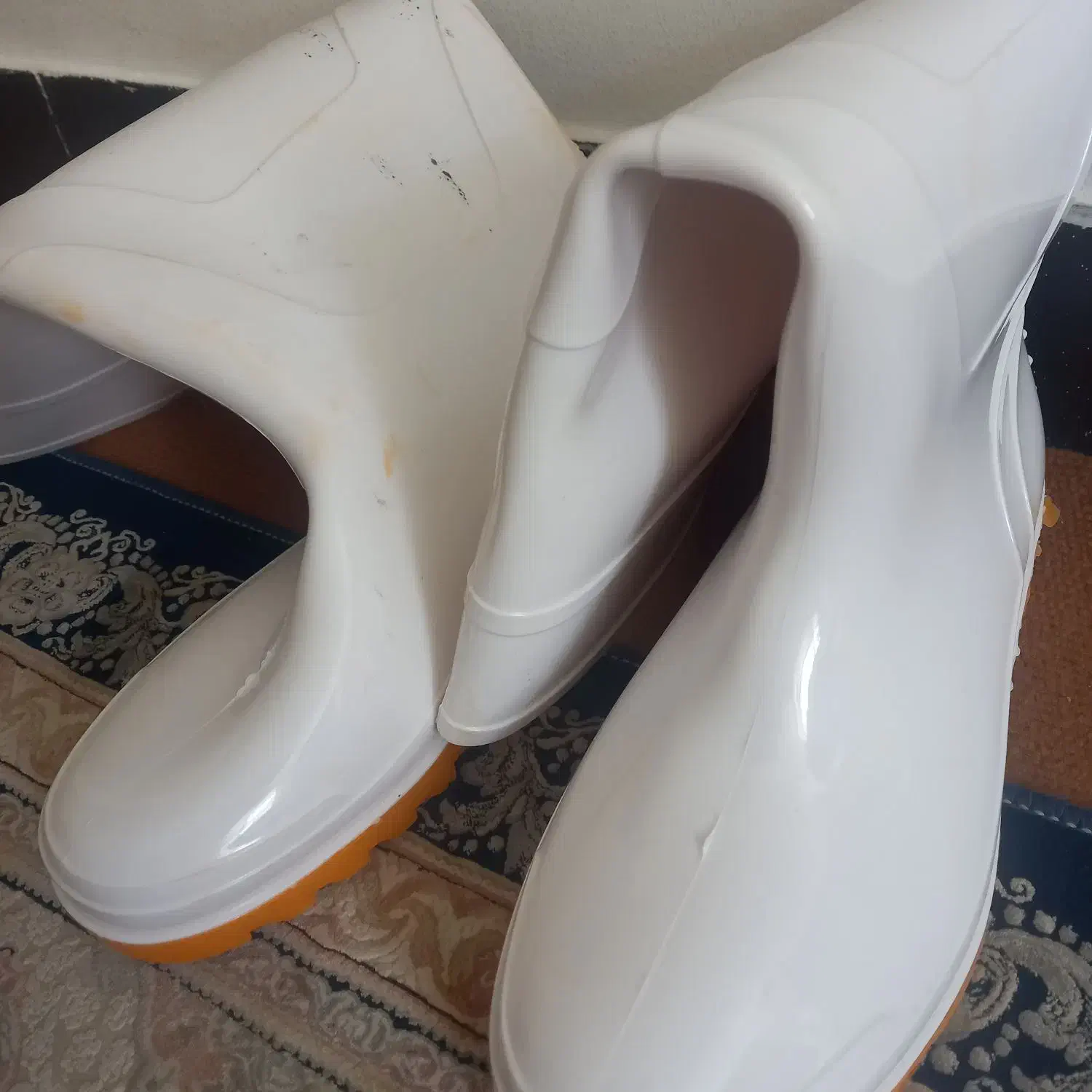 چکمه|کیف، کفش، کمربند|شهرکرد, |دیوار