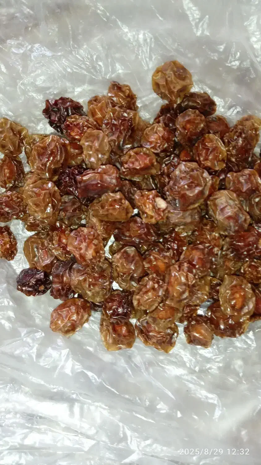 آلو خوراکی|خوردنی و آشامیدنی|شیراز, گلشن|دیوار