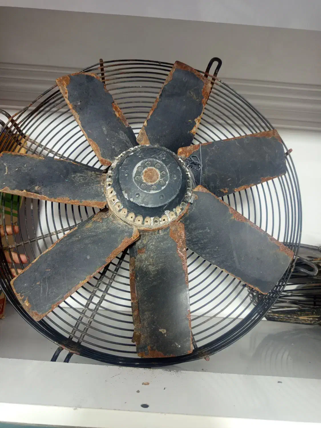 فن دوفاز|پنکه و تصفیه‌کنندهٔ هوا|زاهدان, |دیوار