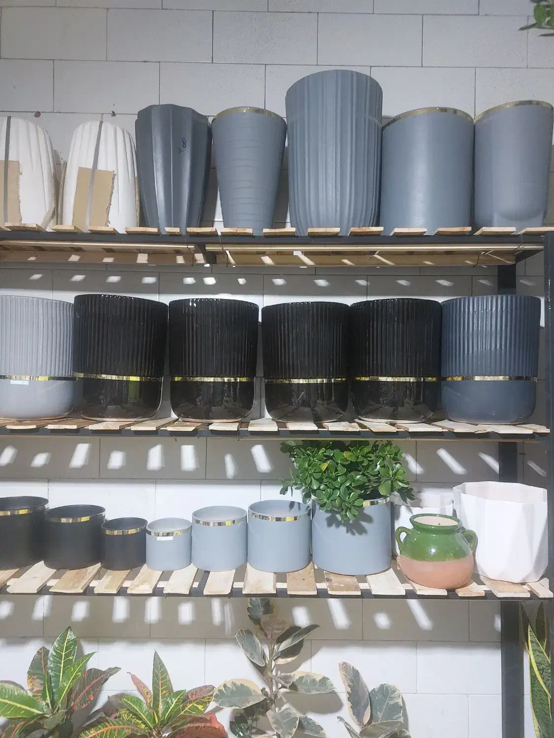 گل وگلدان|گل و گیاه طبیعی|اسلامآباد غرب, |دیوار