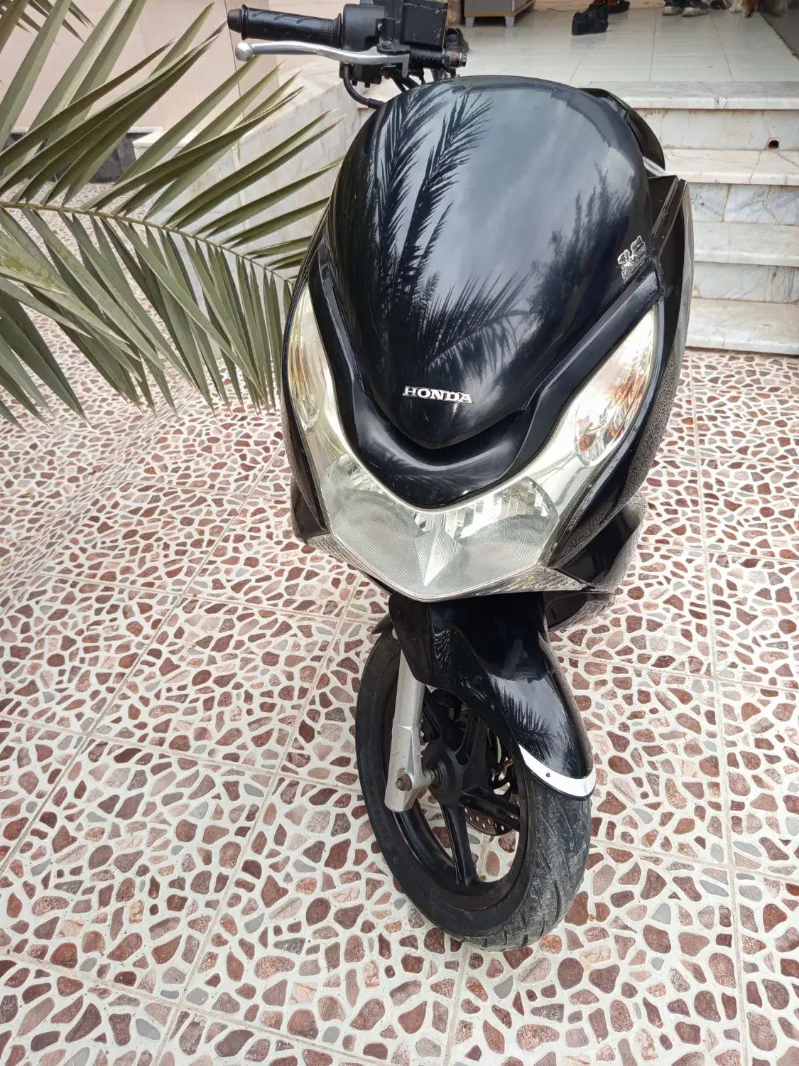 pcx|موتورسیکلت|بندر دیر, |دیوار