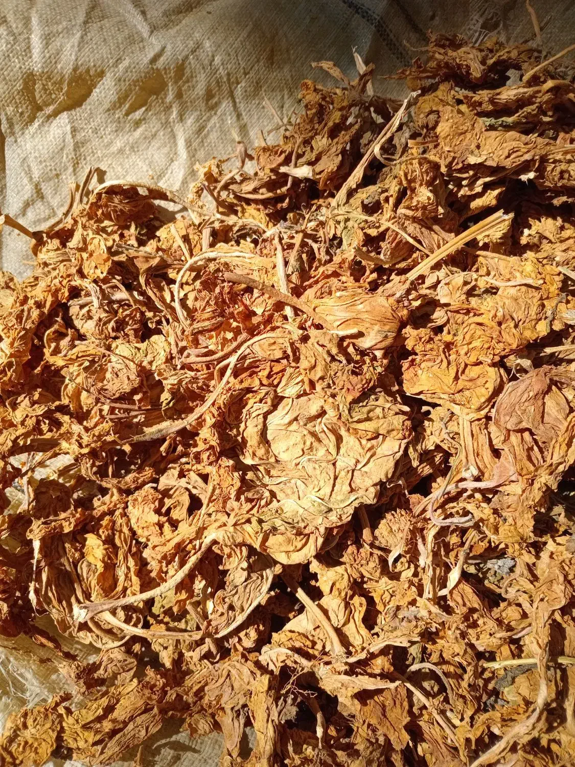 زغال( برگ تنبا کو سرخ)|عمدهفروشی|برازجان, |دیوار