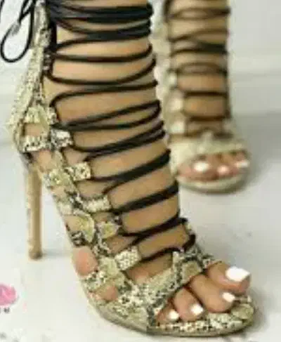 کفش پاشنه بلند کفش مجلسی|کیف، کفش، کمربند|تربتحیدریه, بالا ولایت|دیوار