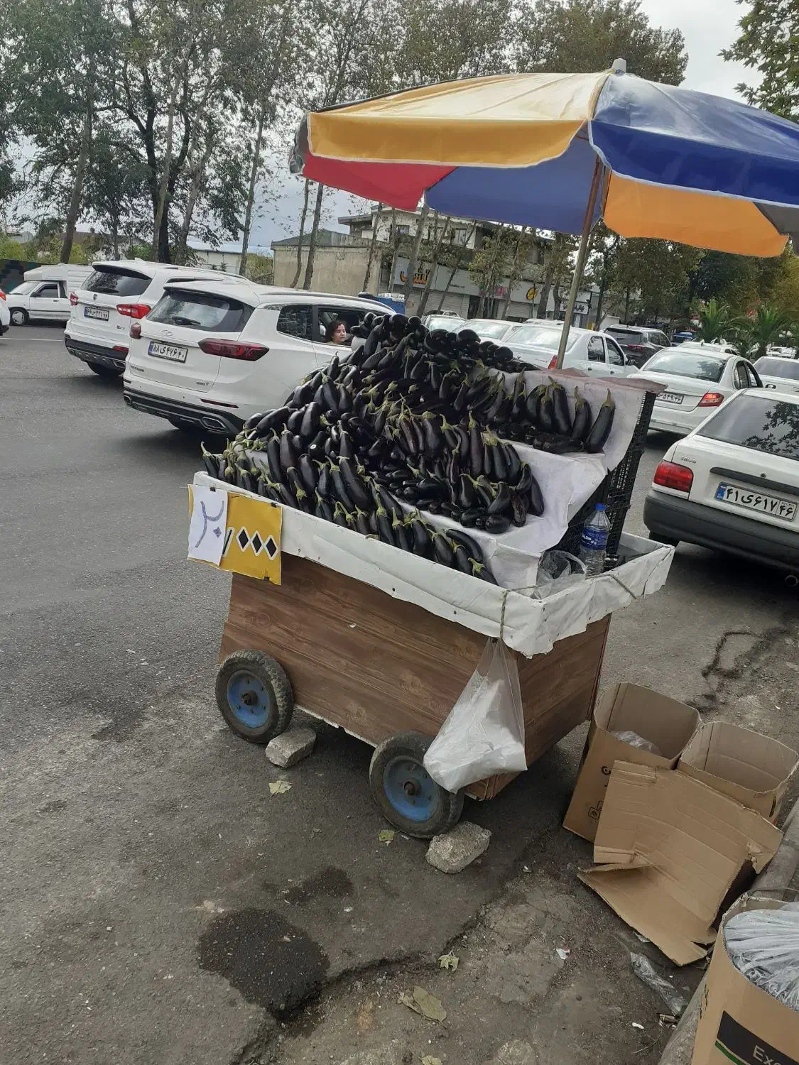 چتر سایبان ۲/۵ متری ضد آب نو ی نو|فروشگاه و مغازه|رشت, فرزانه|دیوار