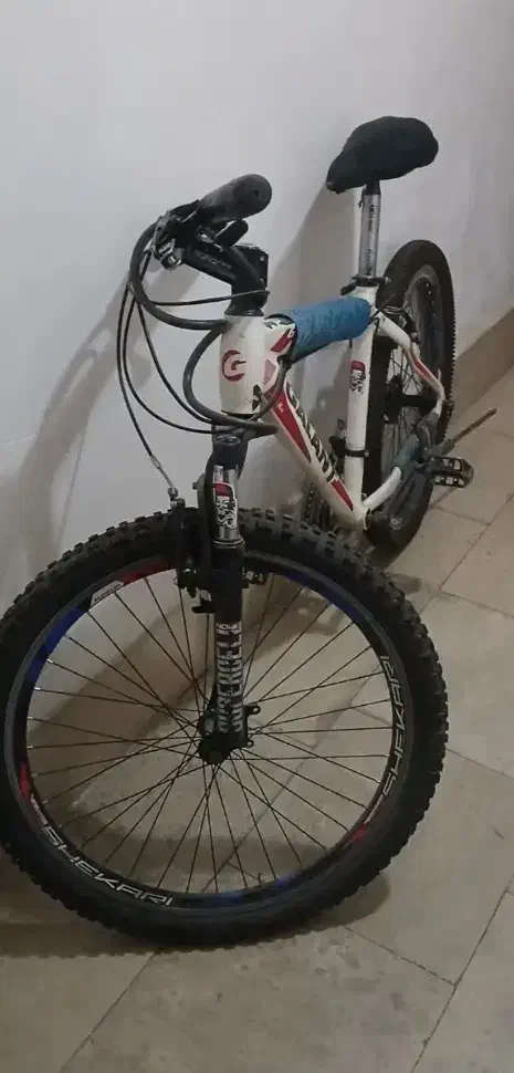 گالانت ۲۴|دوچرخه، اسکیت، اسکوتر|مهاجران, |دیوار