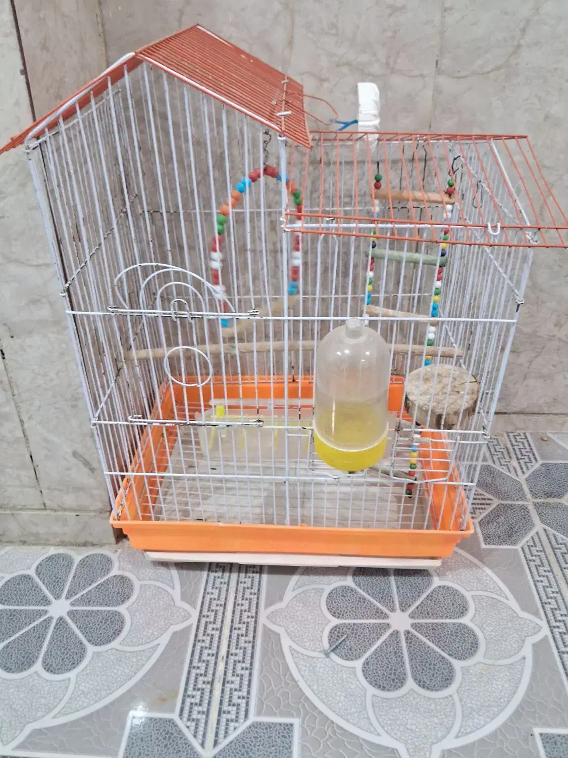 قفس مرغ عشق|لوازم جانبی حیوانات|مریوان, |دیوار