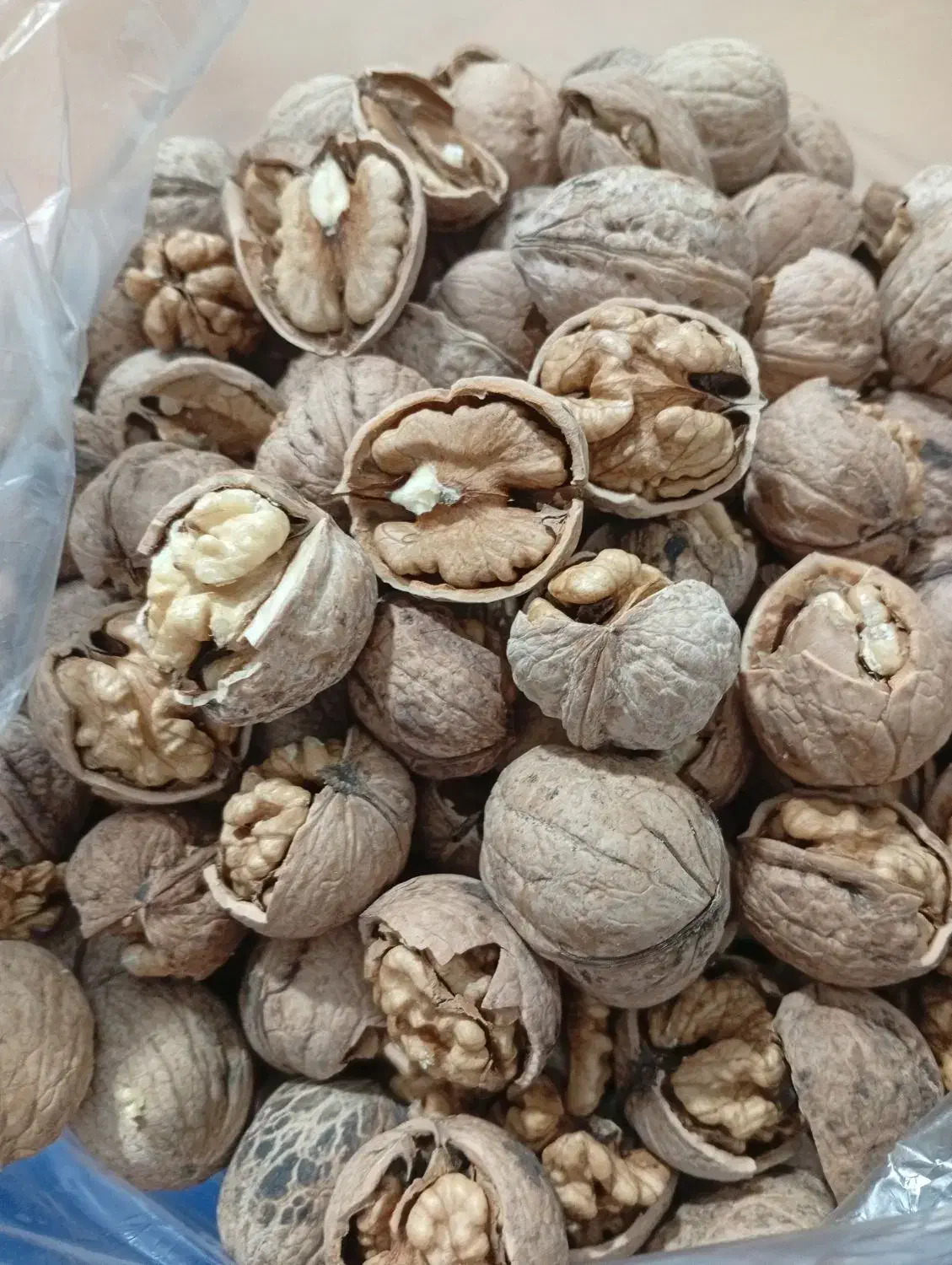 پوست گردو و بادام|لوازم جانبی حیوانات|تبریز, |دیوار