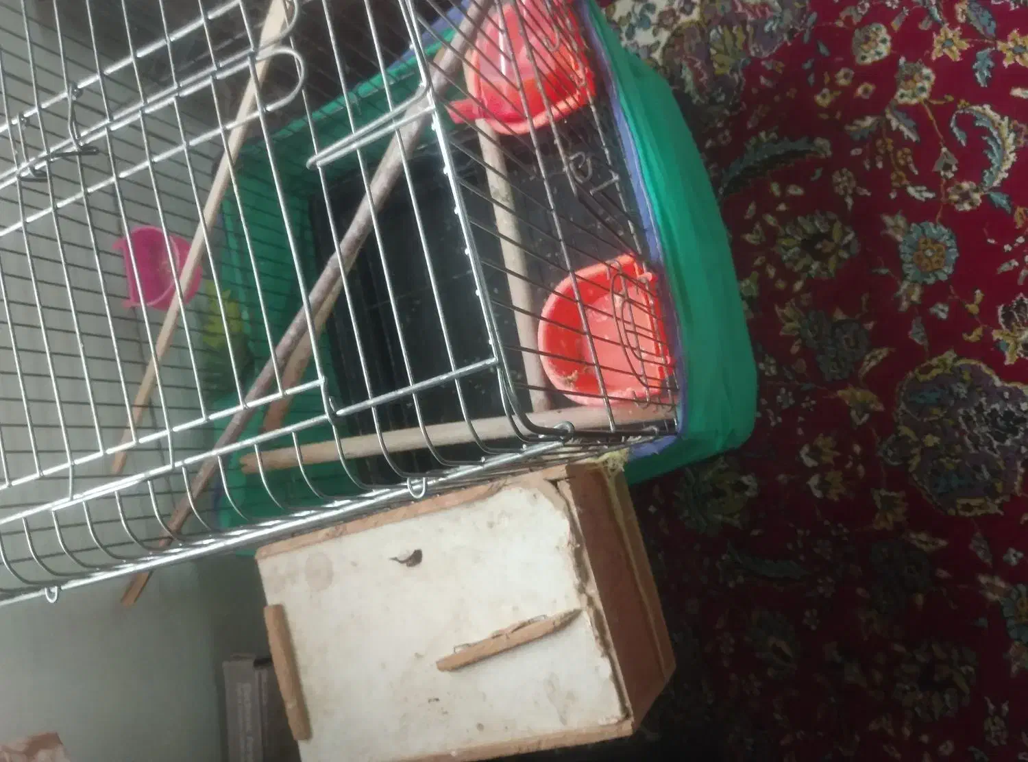 لوازم جانبی حیوانات|لوازم جانبی حیوانات|رانکوه, |دیوار