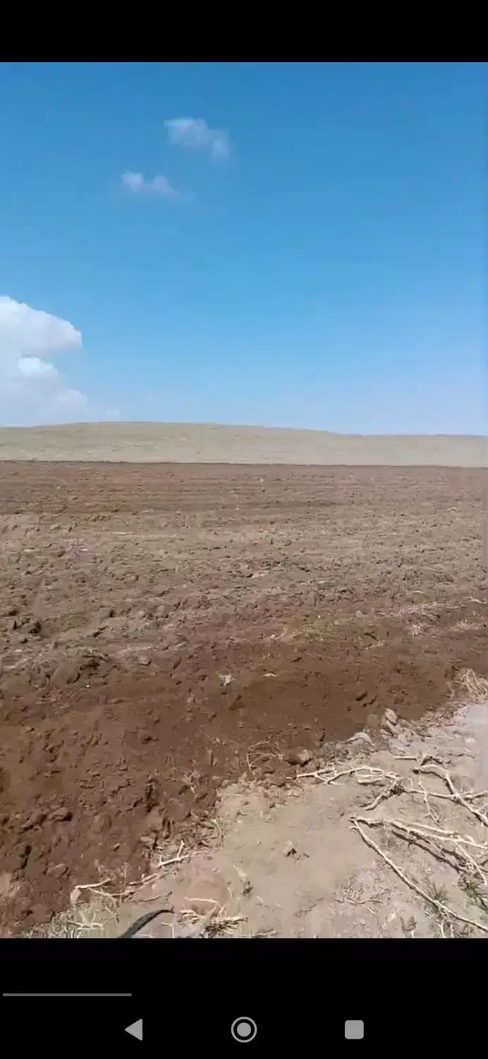 اجاره زمین کشاورزی در بویین زهرا|اجارهٔ دفتر صنعتی، کشاورزی، تجاری|بوئین زهرا, |دیوار