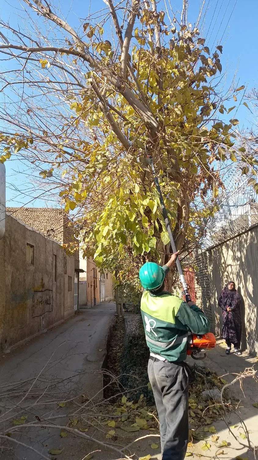 باغبانی وهرس کاری وغیره|خدمات باغبانی و درختکاری|اصفهان, ارغوانیه|دیوار