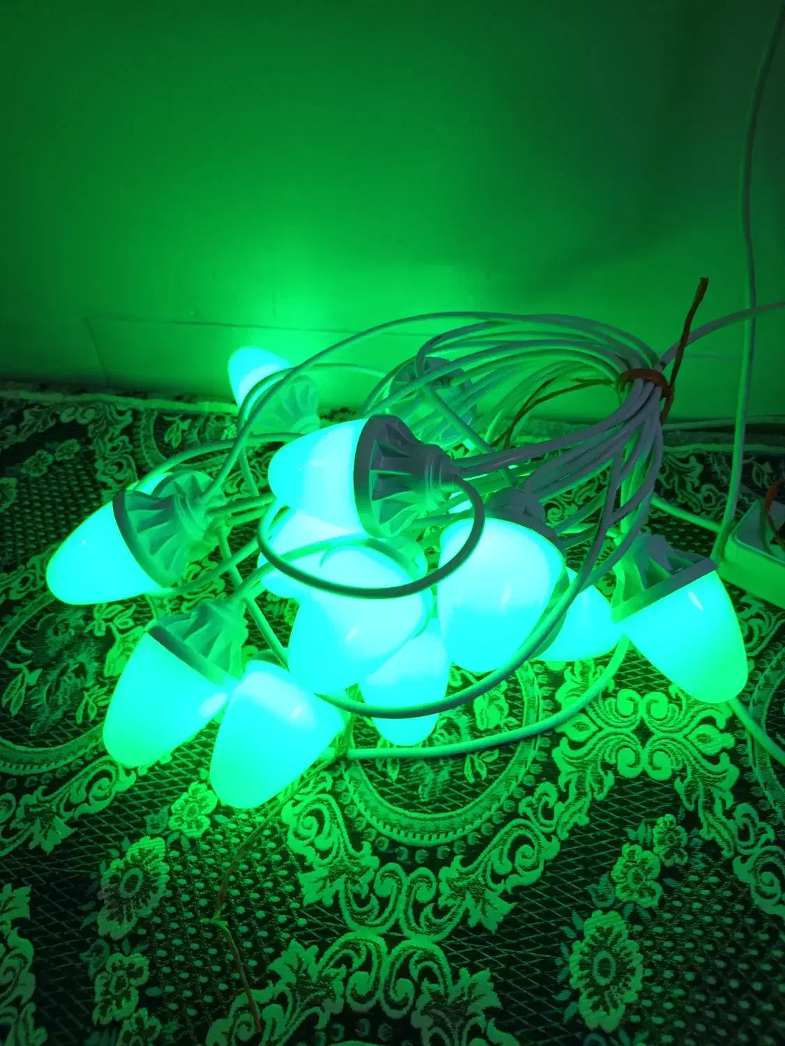 ریسه لامپ عروسی|ریسه و چراغ تزئینی|تهران, شهرک فردوس (حسینی)|دیوار