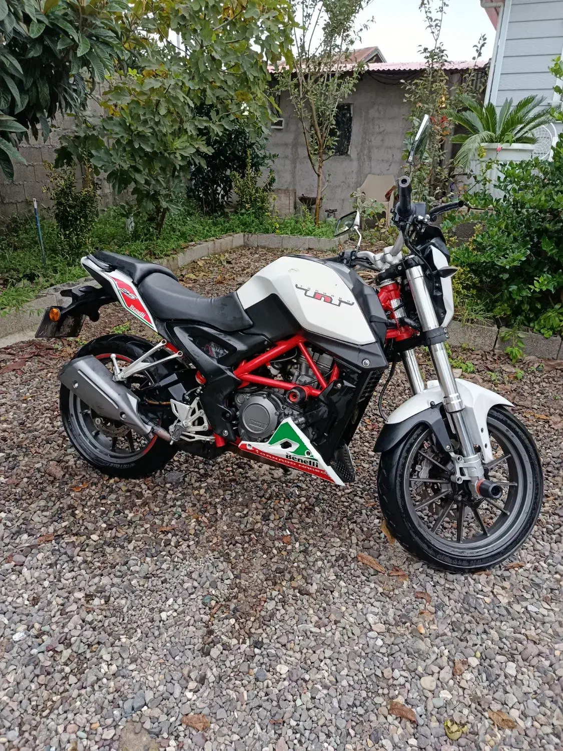 بنلی250|موتورسیکلت|رشت, چمارسرا|دیوار