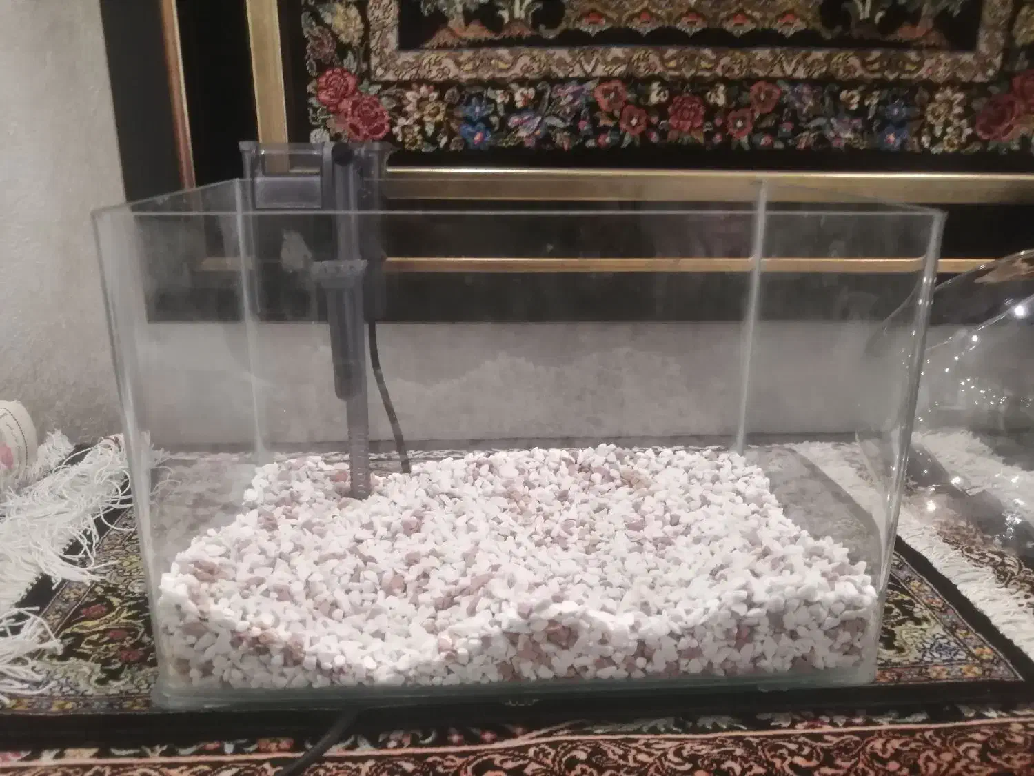 آکواریوم با پمپ|ماهی|قم, پردیسان|دیوار