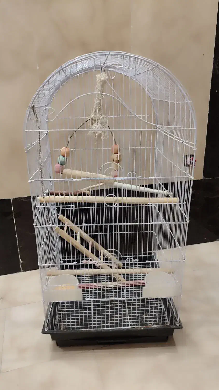 قفس طوطی|لوازم جانبی حیوانات|تهران, شهمیرزادی|دیوار
