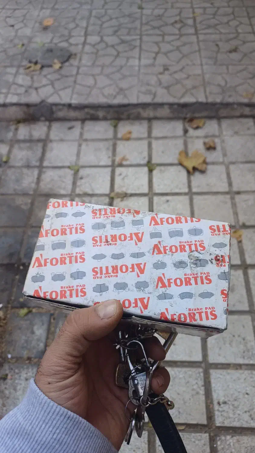 لنت ۲۰۶ تیپ ۲|قطعات یدکی و لوازم جانبی|کرج, عظیمیه|دیوار