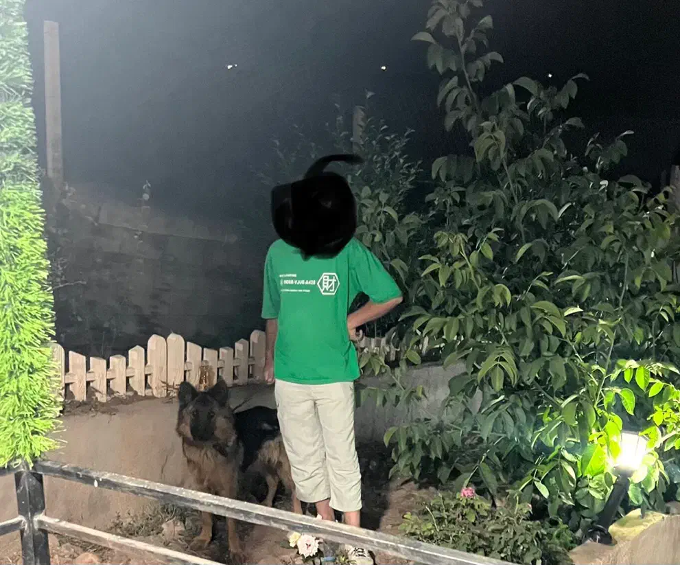 سگ ژرمن شیپرد ماده|سگ|تهران, جیحون|دیوار