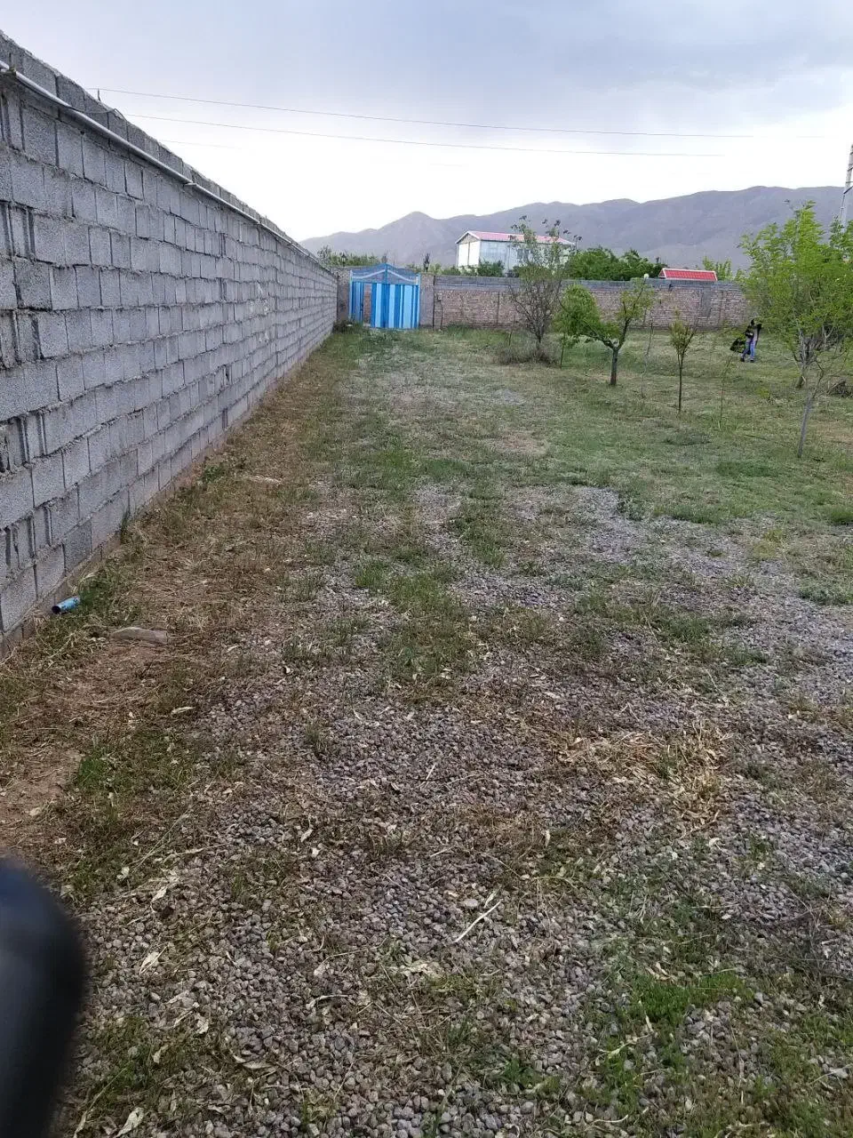 ۱۳۱۲ متر باغ با تمام امتیازات|فروش خانه و ویلا|صوفیان, |دیوار