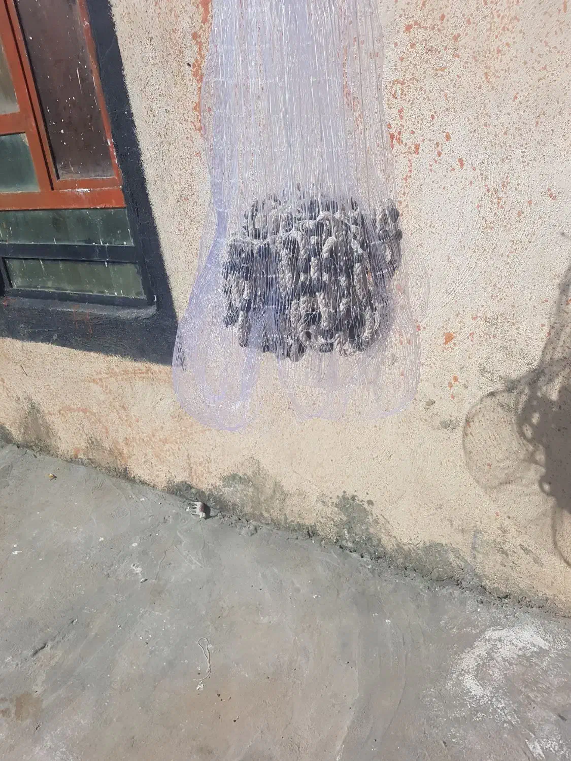 تورپرتابی|ماهیگیری|یاسوج, |دیوار