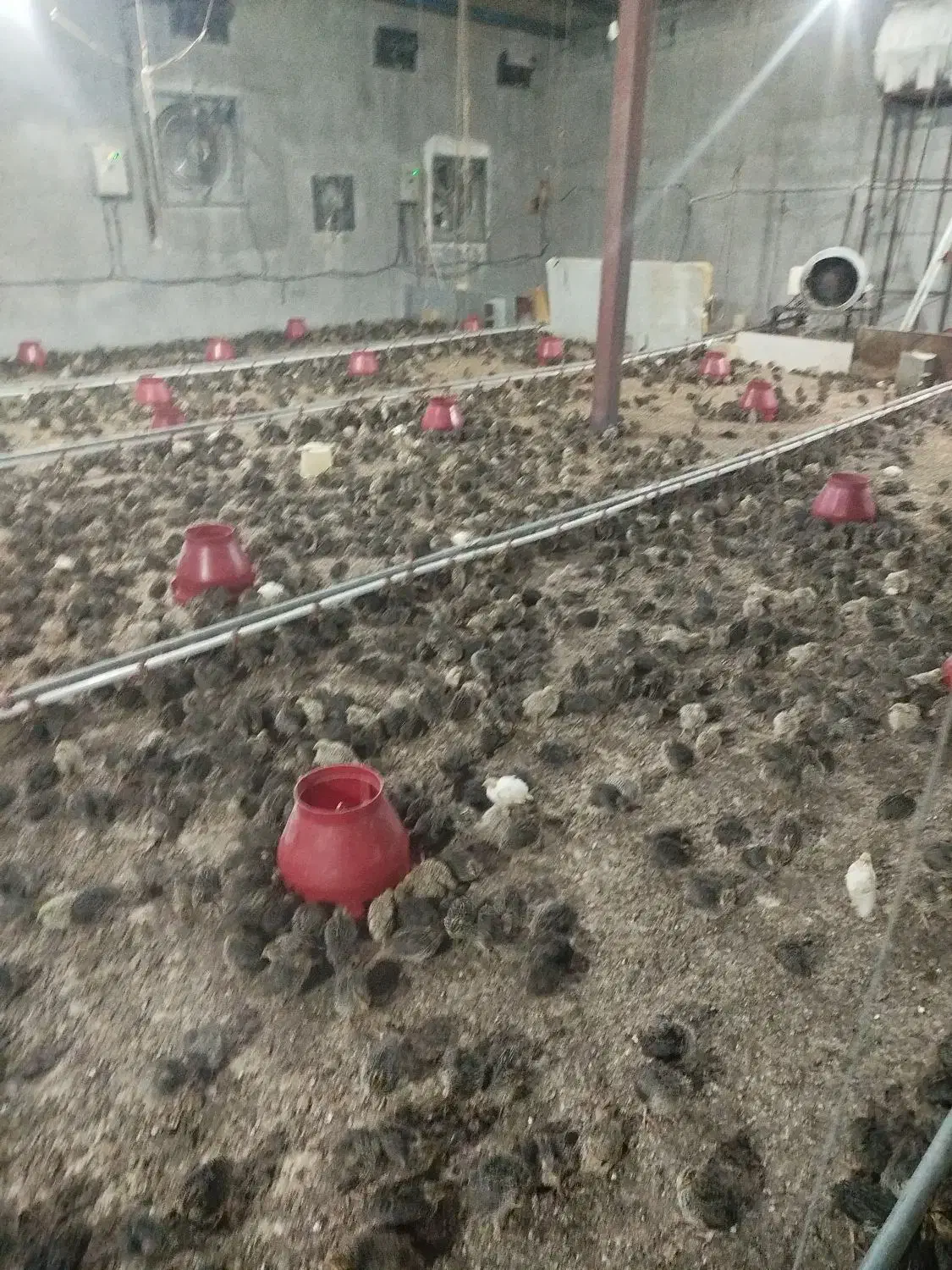 وام شخصی با سود ماهیانه مطمئن (قرارداد رسمی)|استخدام مالی، حسابداری، حقوقی|دهدشت, |دیوار