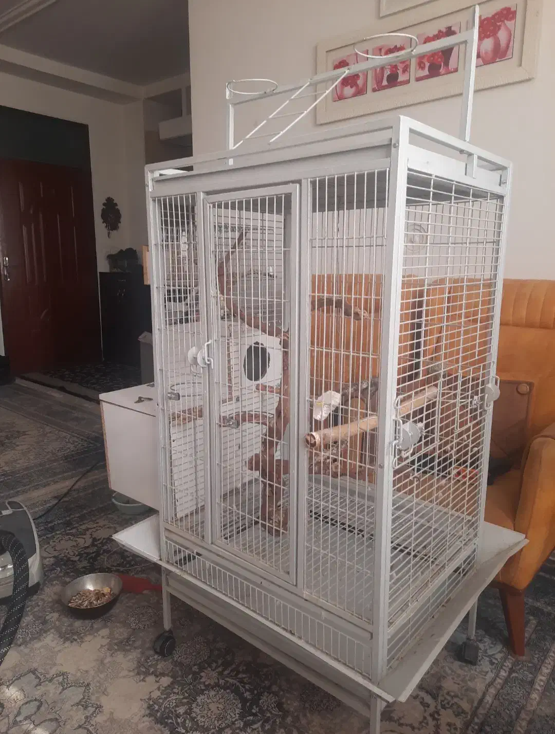 قفس پرنده . قفس بزرگ . قفس مسافرتی|لوازم جانبی حیوانات|رباطکریم, رباطکریم|دیوار