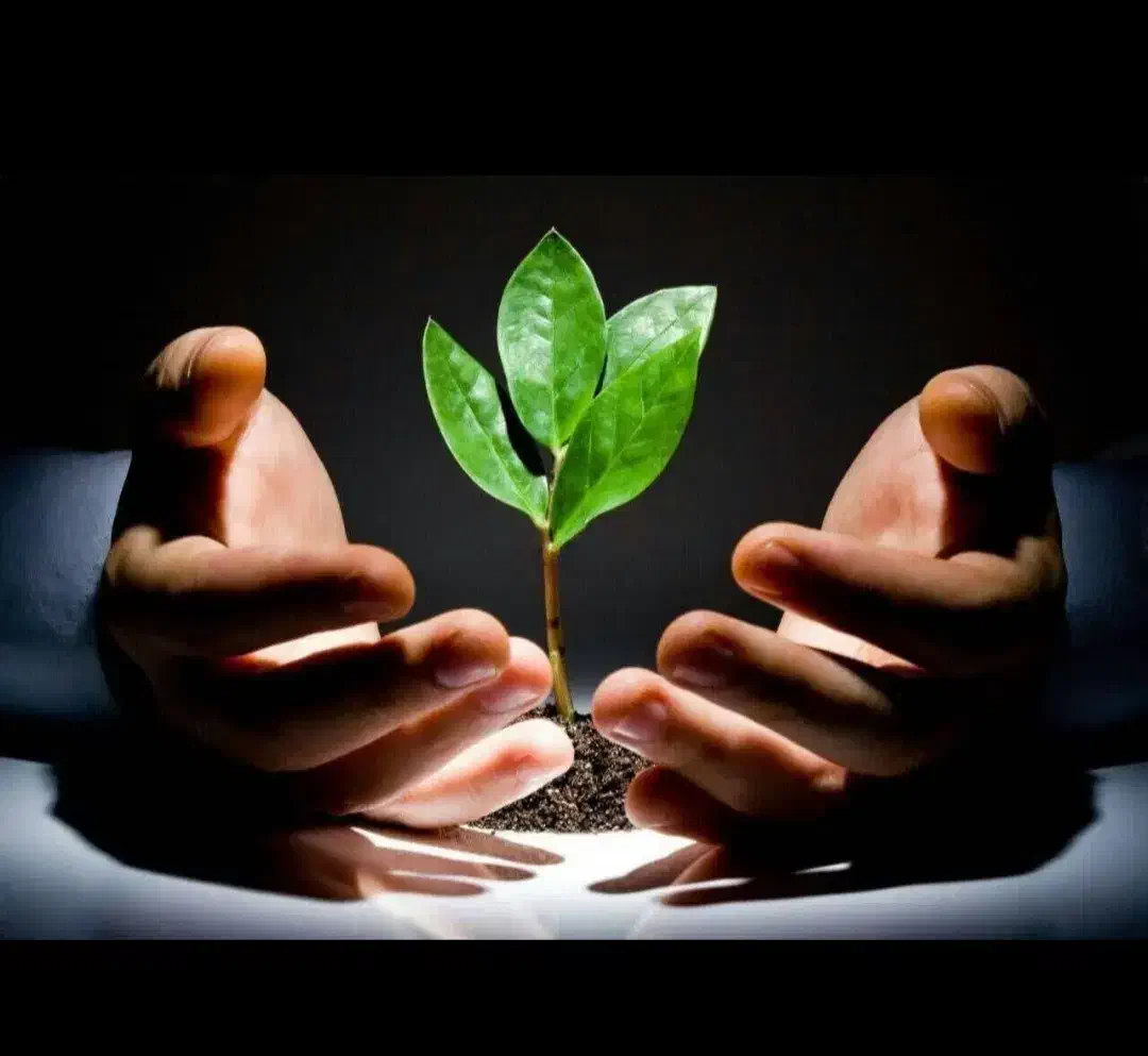 کلینیک ترک اعتیاد ندای امید|خدمات آرایشگری و زیبایی|یزد, |دیوار