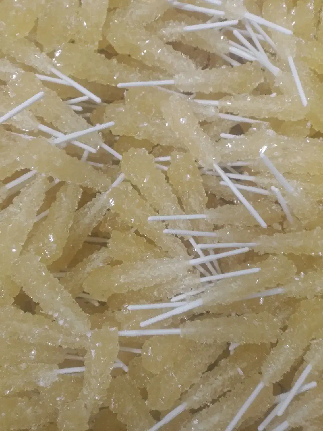 نبات چوبی زرد|خوردنی و آشامیدنی|اصفهان, پوریای ولی|دیوار