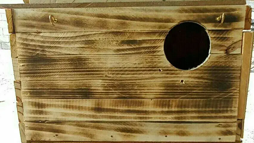 لانه عروس هلندی|لوازم جانبی حیوانات|میناب, |دیوار