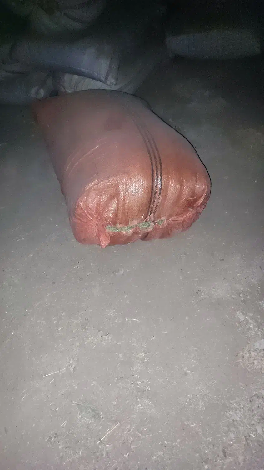 یک خلال بیده گم شده|اشیا|زابل, |دیوار