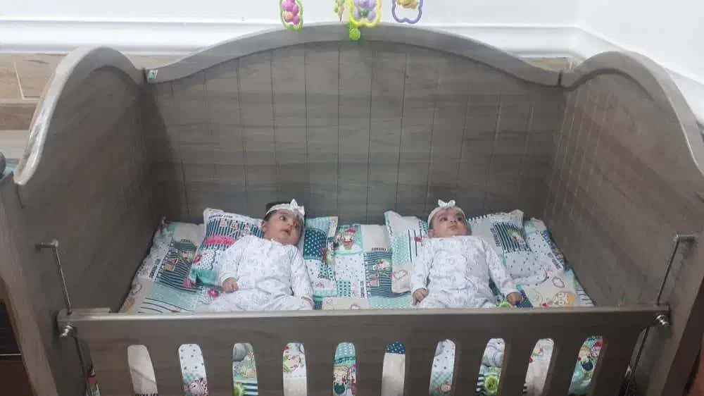 تخت خواب کودک|تخت و صندلی بچه|جیرفت, |دیوار