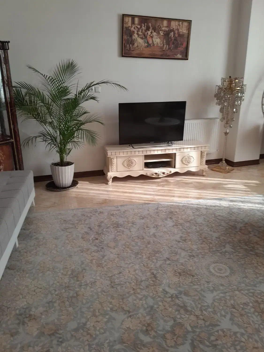 تی وی|تلویزیون و پروژکتور|پیشوا, |دیوار