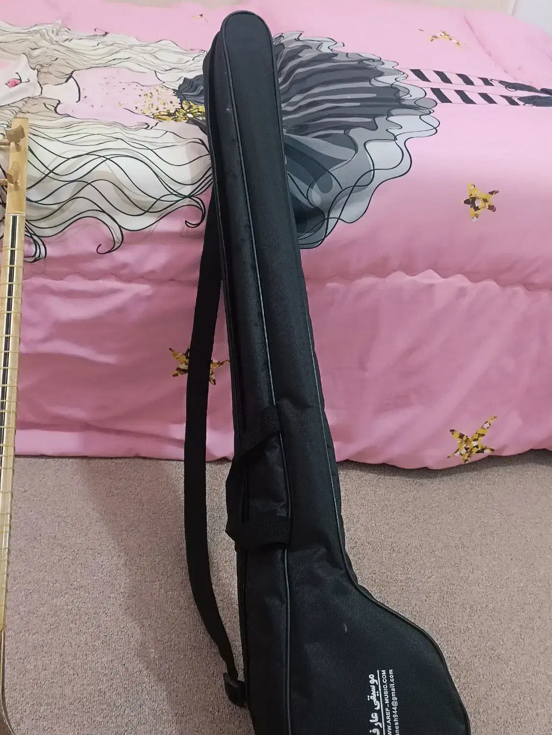 سه تار|سازهای سنتی|مرودشت, ولایت|دیوار