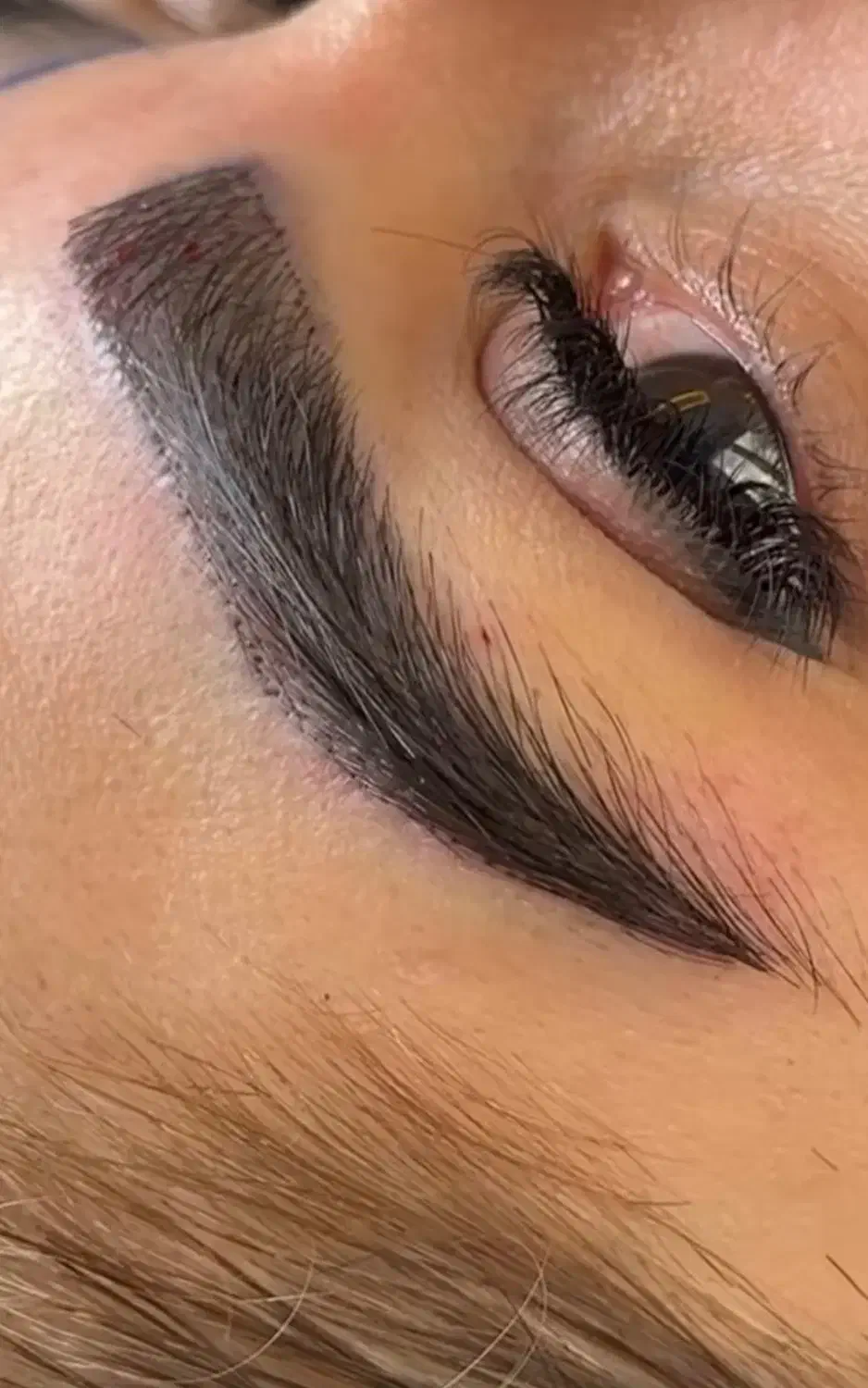 کاشت ابرو این هفته با تخفیف فوق استثنایی|خدمات آرایشگری و زیبایی|همدان, |دیوار