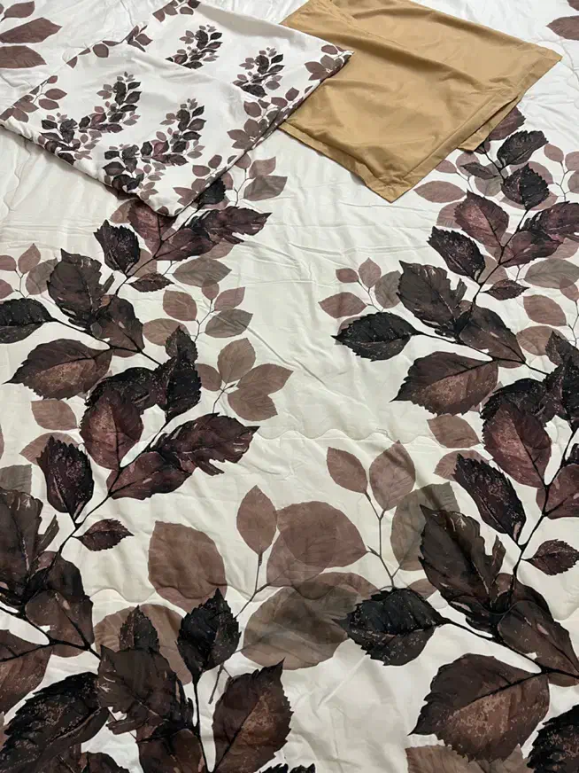 رو تختی|رختخواب، بالش، پتو|لنگرود, |دیوار