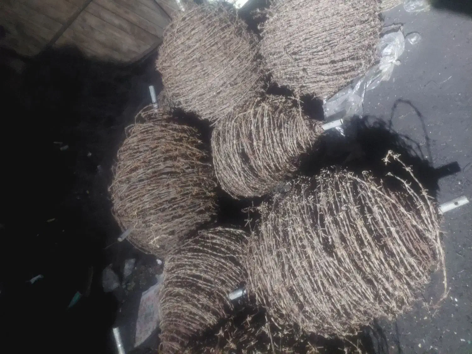 سیم خاردار سالم|ابزارآلات|سبزوار, قصبه غربی|دیوار