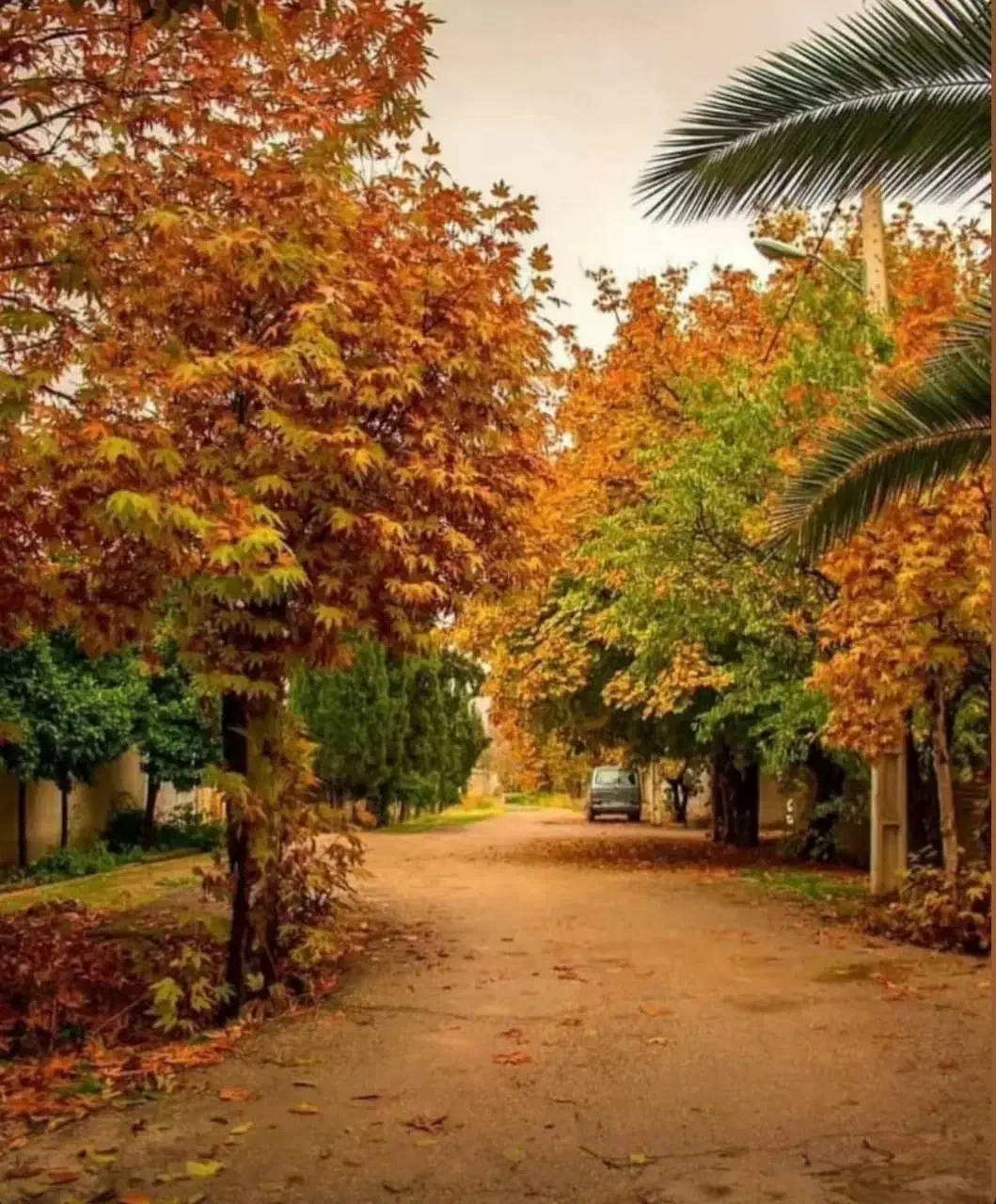 فروش خط دائمی 09131013373|سیم‌کارت|اصفهان, فجر|دیوار