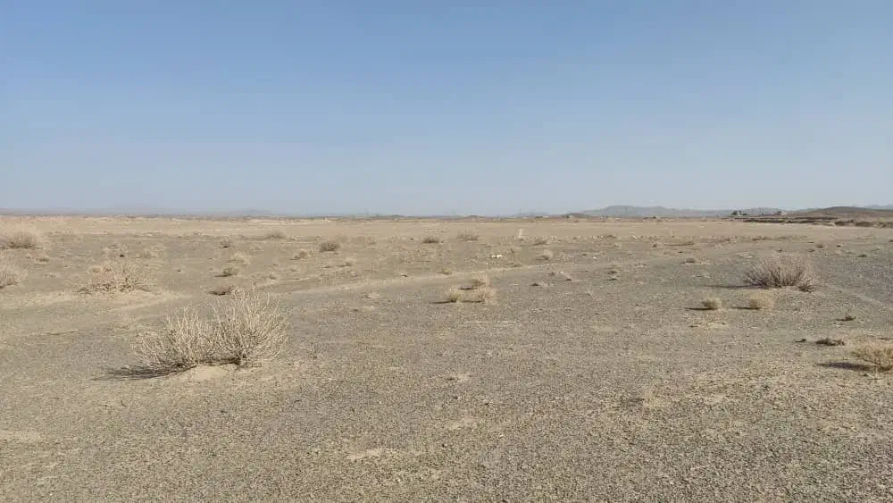 زمین چمگ چهارا سمت راست|فروش زمین و ملک کلنگی|زاهدان, |دیوار