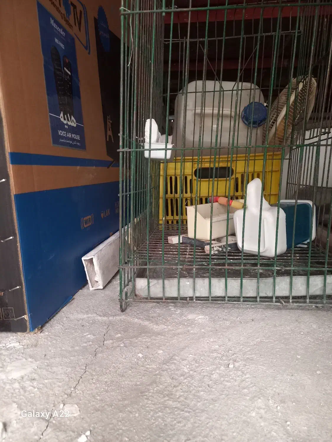 قفس پرنده|لوازم جانبی حیوانات|قم, باغ شریفی|دیوار