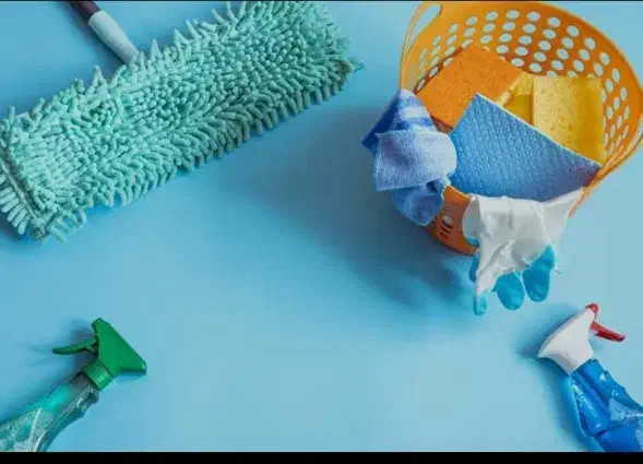 نظافت خانه شستن فرش نیروی کار رزن قروه دمق|خدمات نظافت|رزن, |دیوار