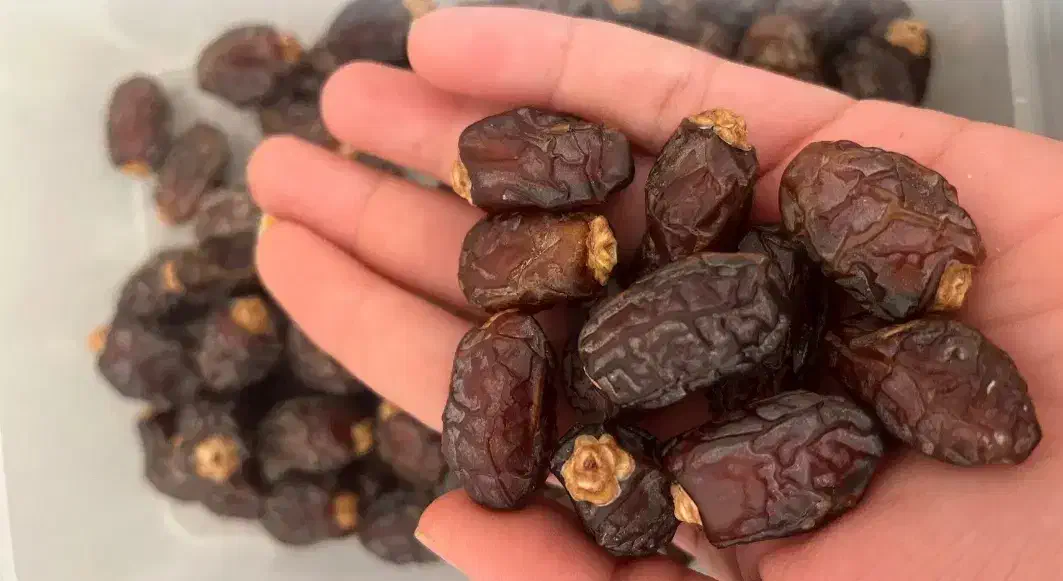 خرمای اجیلی لوکس|عمدهفروشی|باینگان, |دیوار