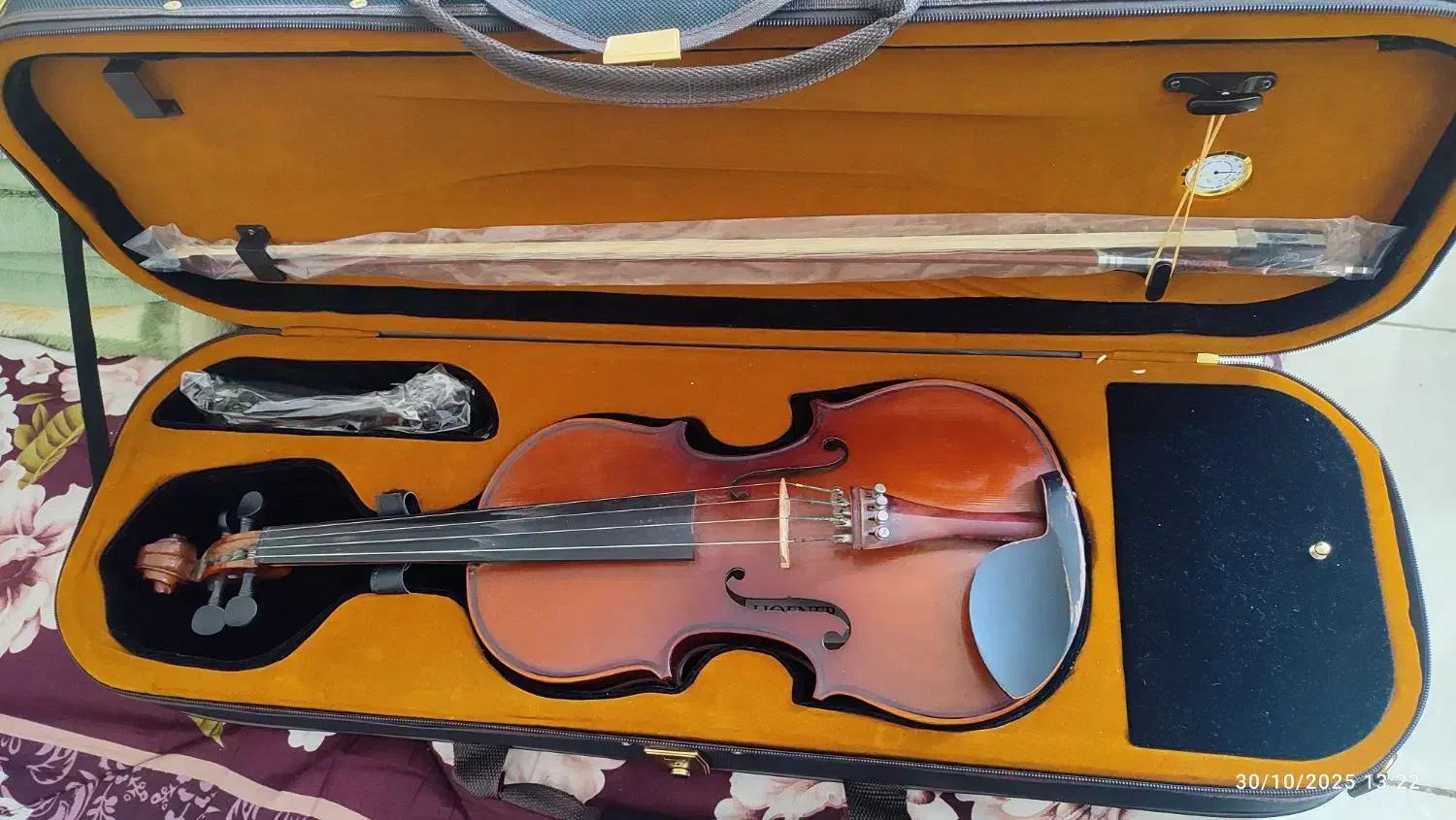 ویالون|ویولن|بندرعباس, |دیوار