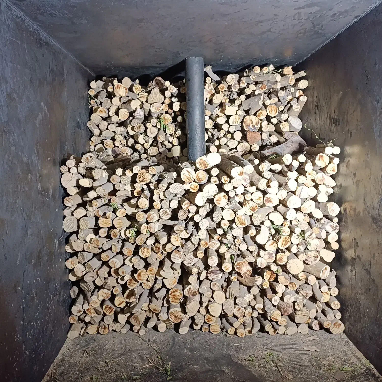 زغال چوب لیمو جنوب|خدمات باغبانی و درختکاری|مشهد, شیرودی|دیوار