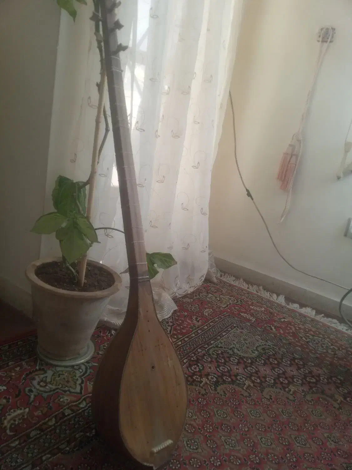 سازشش تار|سازهای سنتی|تبریز, |دیوار