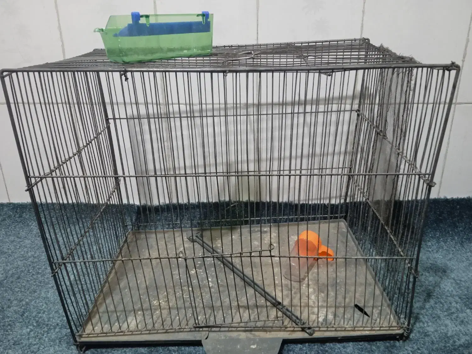 قفس|لوازم جانبی حیوانات|نیشابور, کوی یغما|دیوار