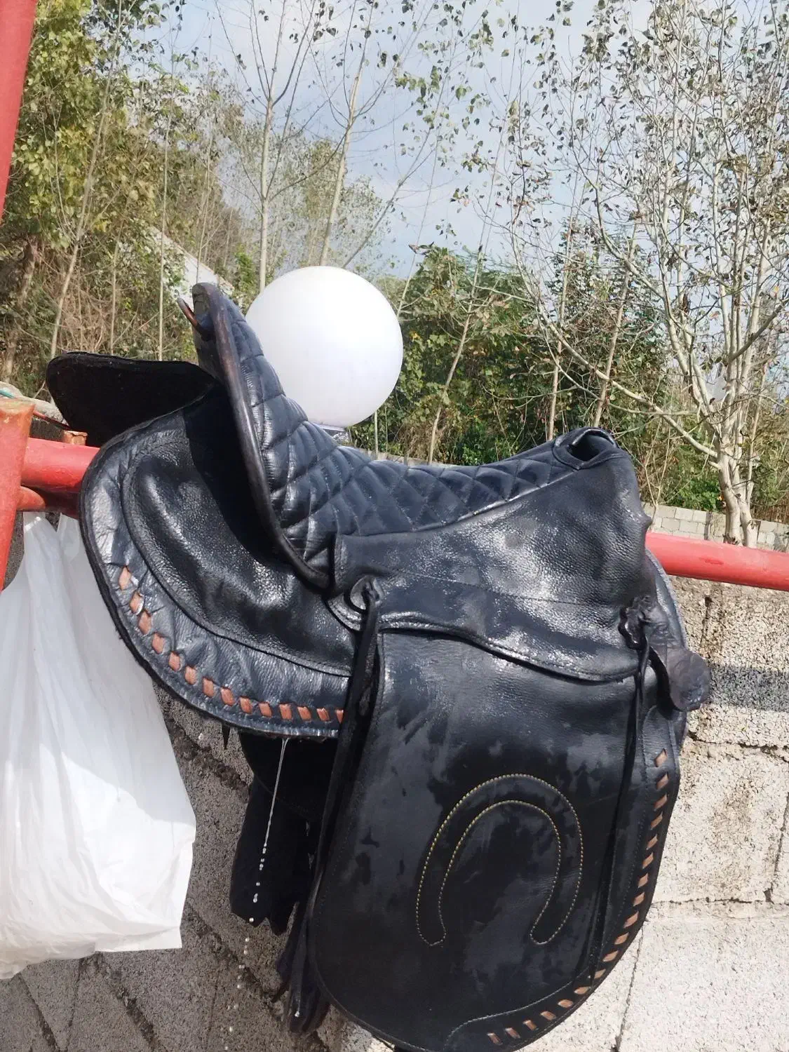 زین سوار کاری فروشی|اسب و تجهیزات اسبسواری|سنگر, |دیوار