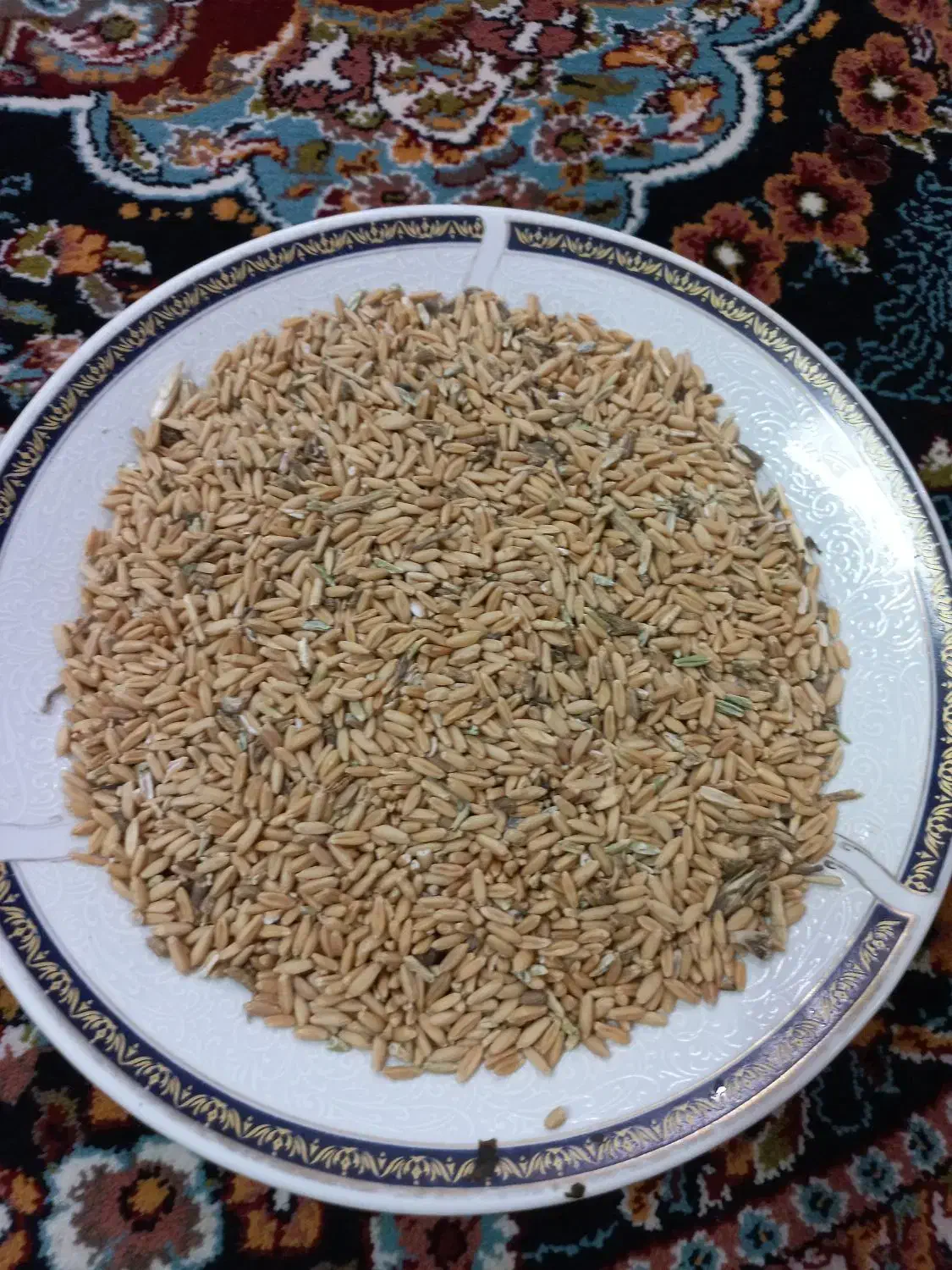 گندم ابی|خوردنی و آشامیدنی|قم, زنبیل آباد|دیوار