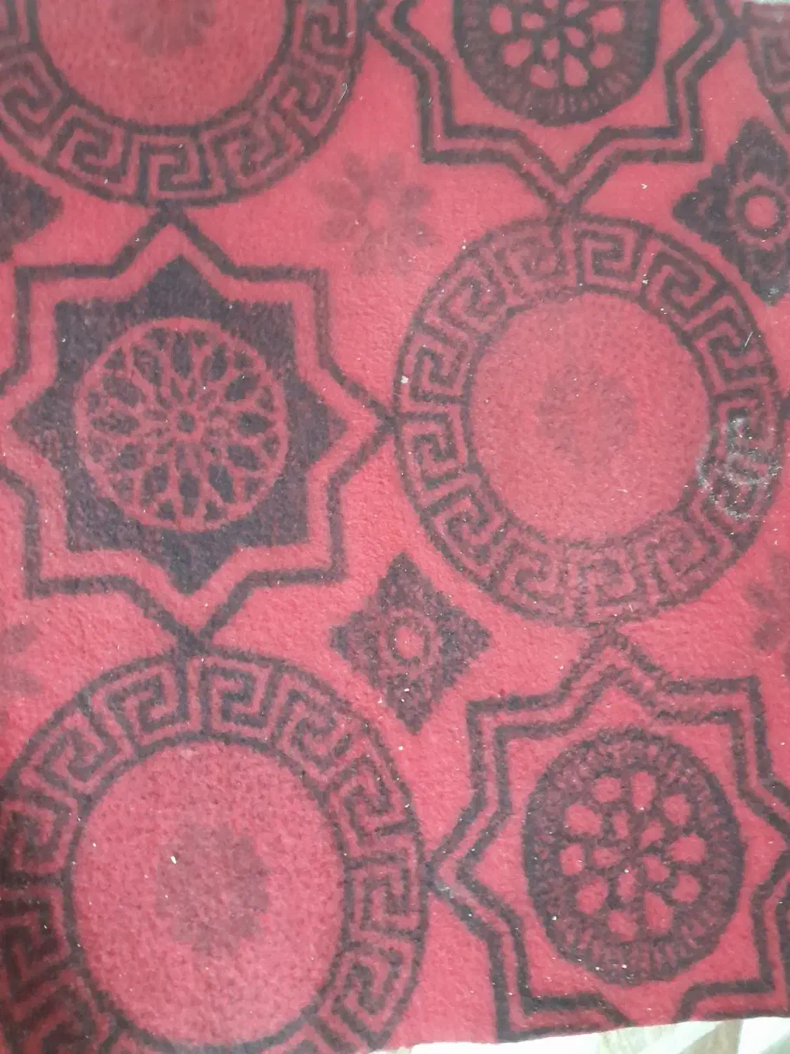 موکت|موکت|شوشتر, |دیوار