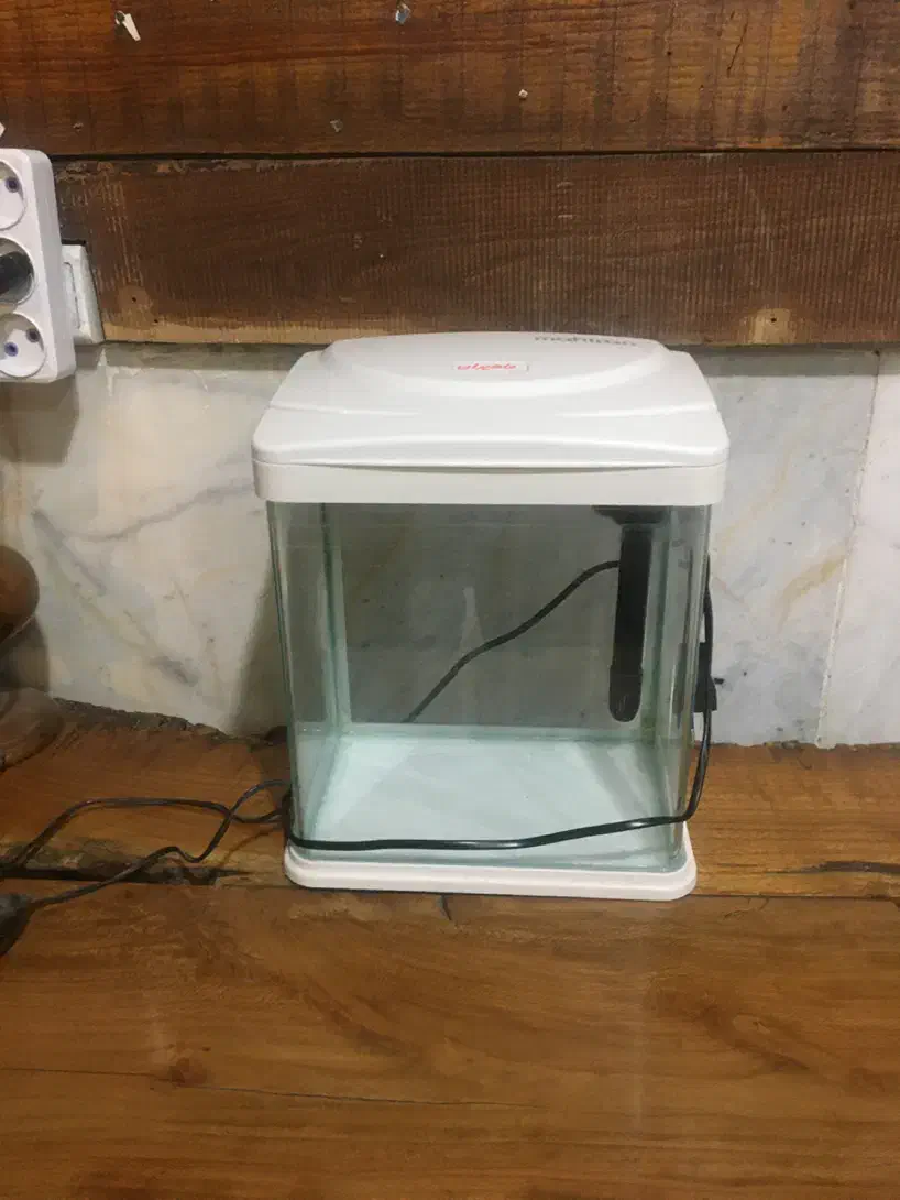 اکواریم فروشی در حد نو|ماهی|بجنورد, |دیوار