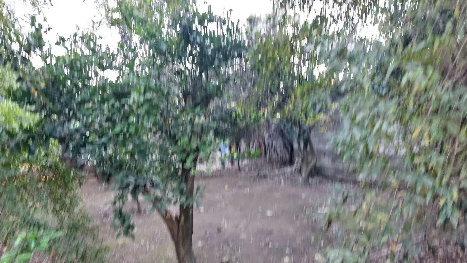 فروش زمین مسکونی|فروش زمین و ملک کلنگی|زرگرشهر, |دیوار