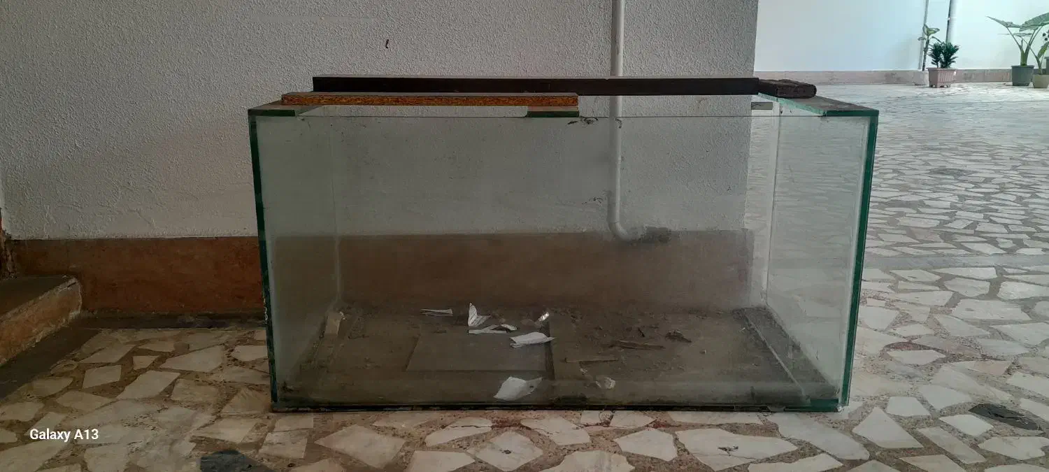 آکواریوم بزرگ|ماهی|رشت, استادسرا|دیوار