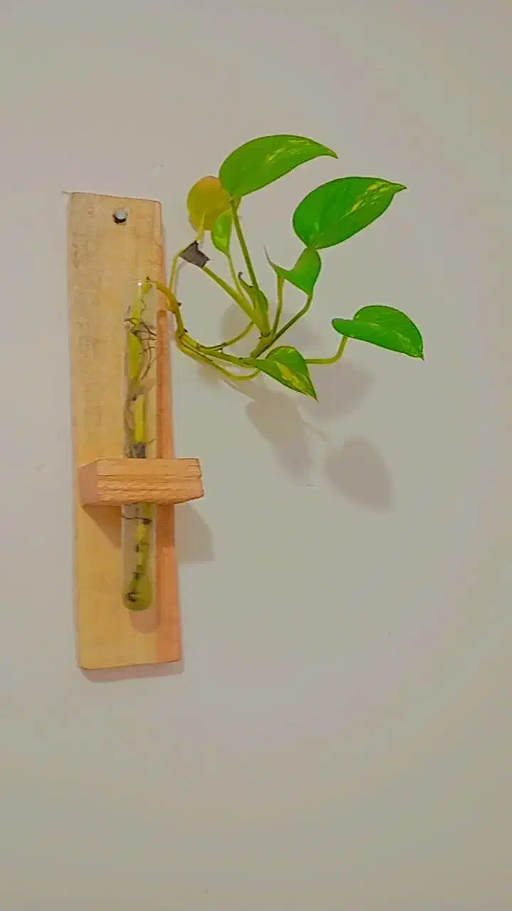 شلف دیواری|کتابخانه، شلف، قفسه‌های دیواری|قطرویه, |دیوار